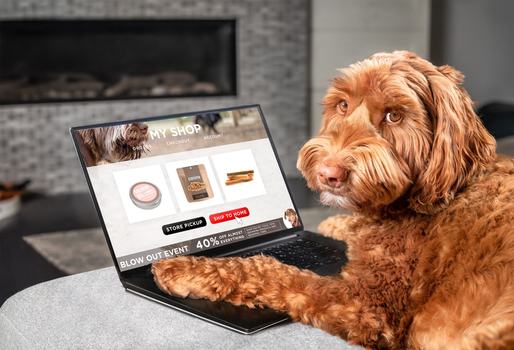 Pet and Animal Website Templates and Designs