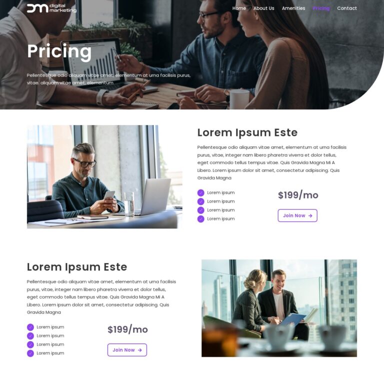 Marketing Agency Template Pricing Page