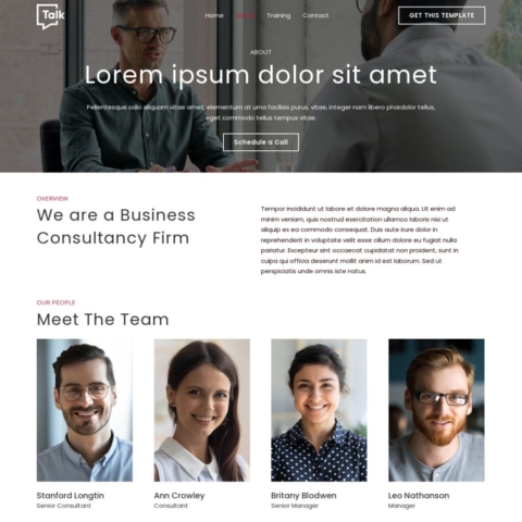 Consulting Template - About Page