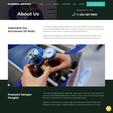 Plumbing Template - About Page