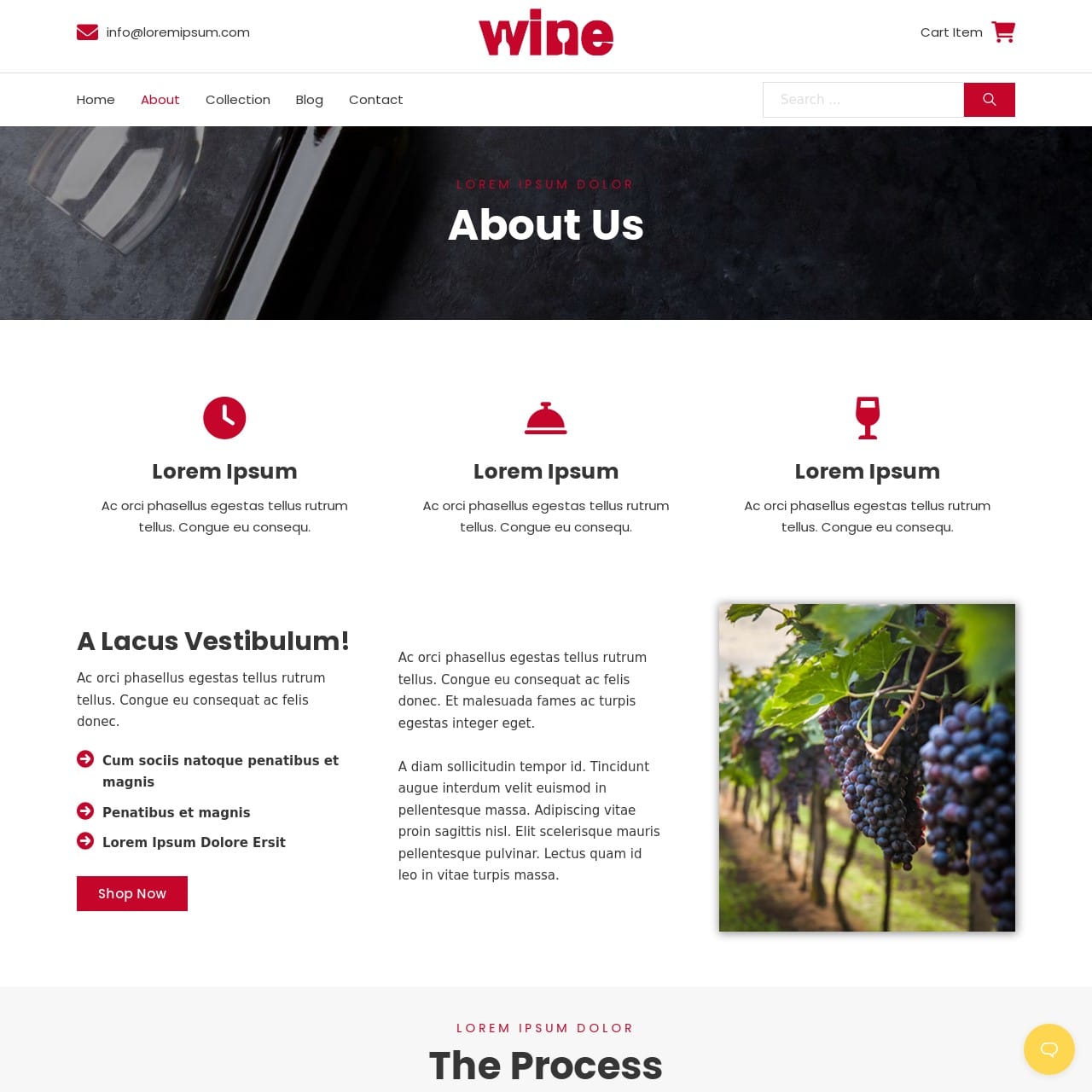 Wine and Winery Template - About Page
