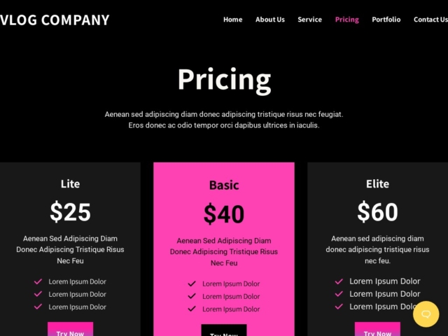 Vlogger Website Template - Pricing Page